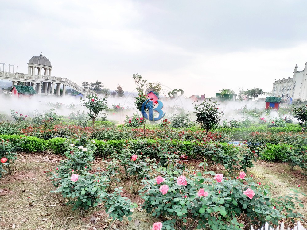 旅游区玫瑰花海喷雾造景案例
